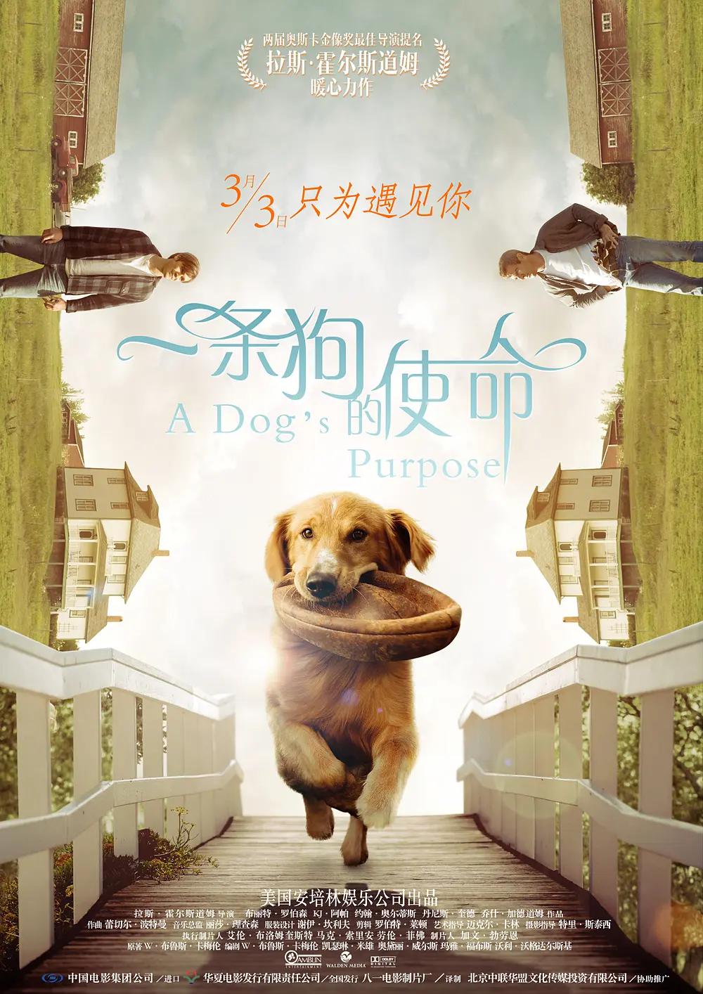 办公室电影(🔁)