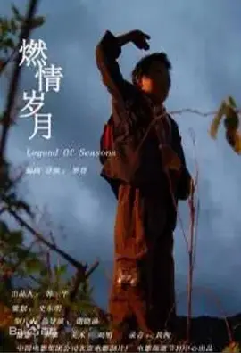 燃情岁月2006