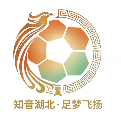 湖北省城市足球联赛 仙桃黄鳝队VS神农架队20260530
