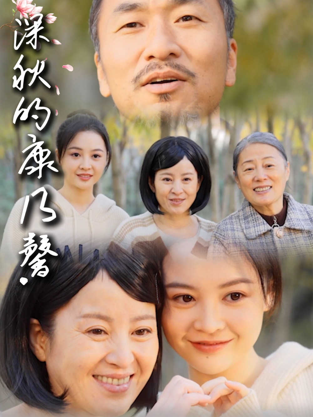深秋的康乃馨