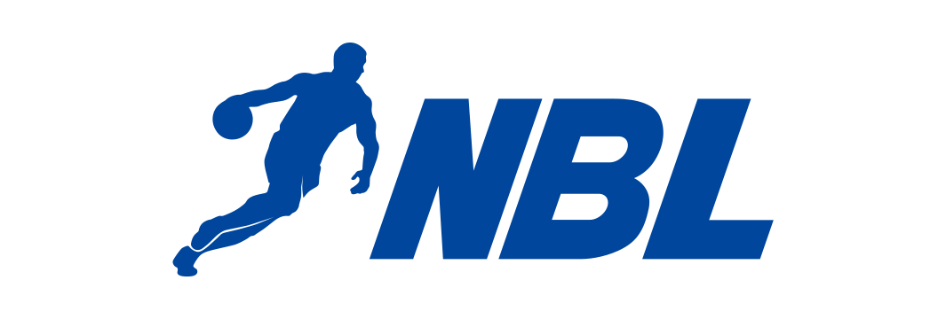 NBL常规赛 山东蜜獾VS安徽皖江龙20260129