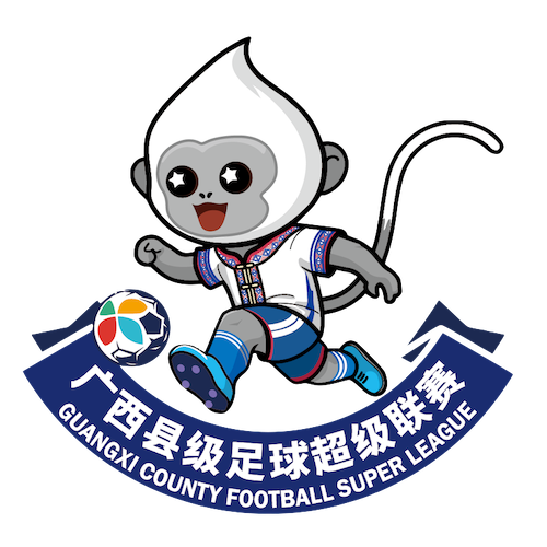 广西县级足球超级联赛 贺州市平桂区队2-4梧州市苍梧县队20260328