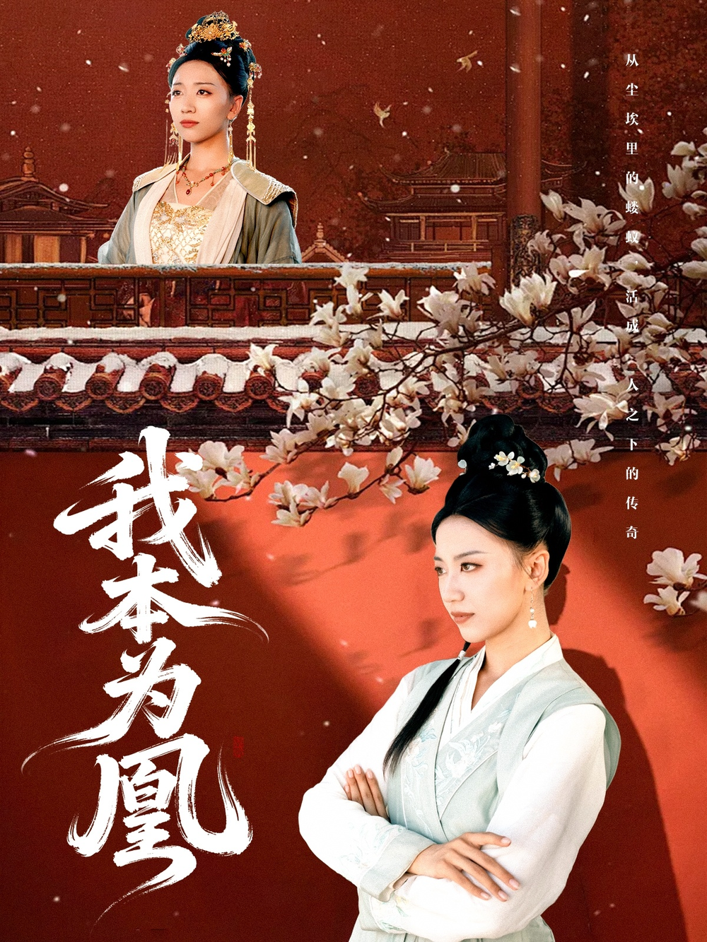我本为凰
